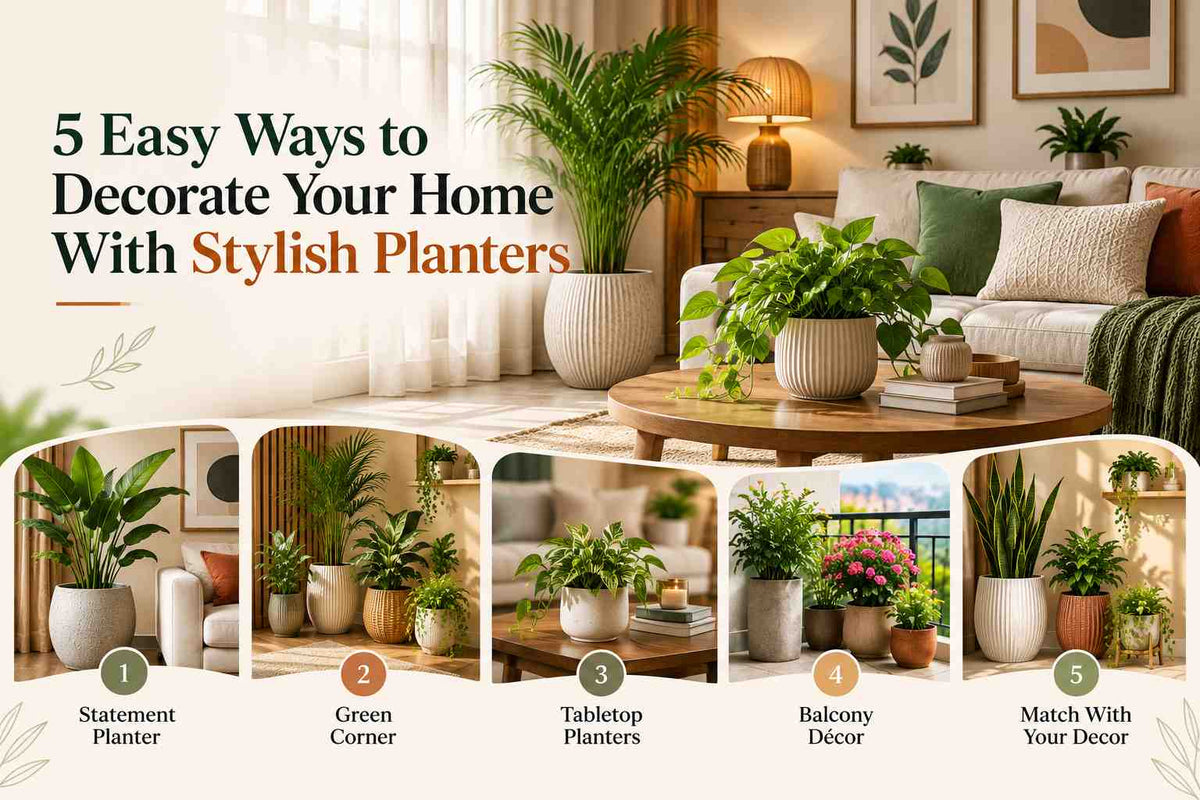 5 Easy Ways to Decorate Your Home With Stylish Planters