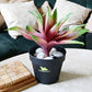 Artificial Areca Palm Plant